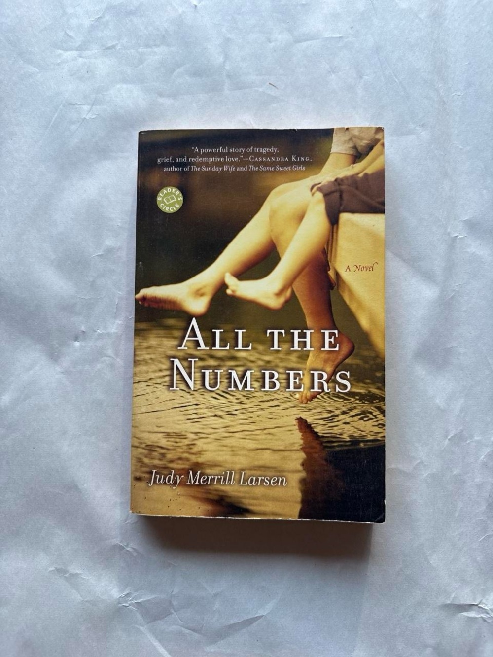 All The Numbers by Judy Merrill Larsen